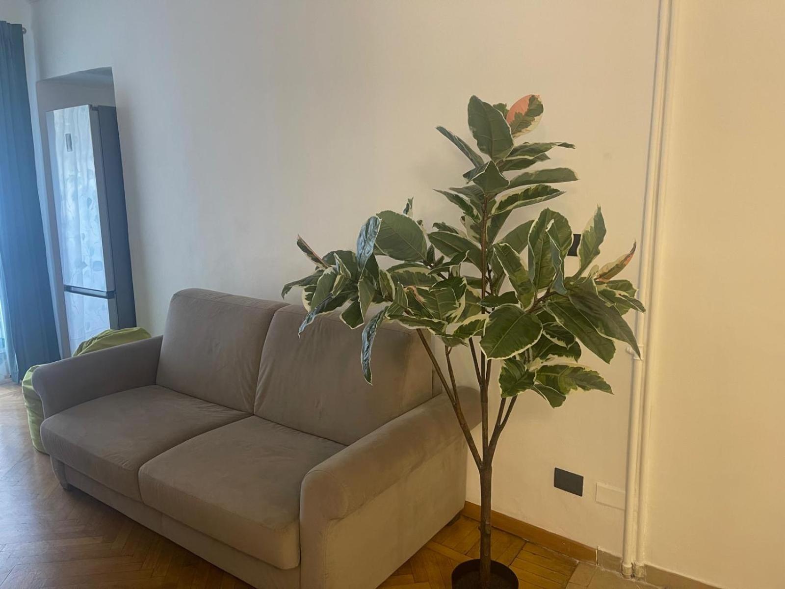 Torino Natura In Centro Zewnętrze zdjęcie