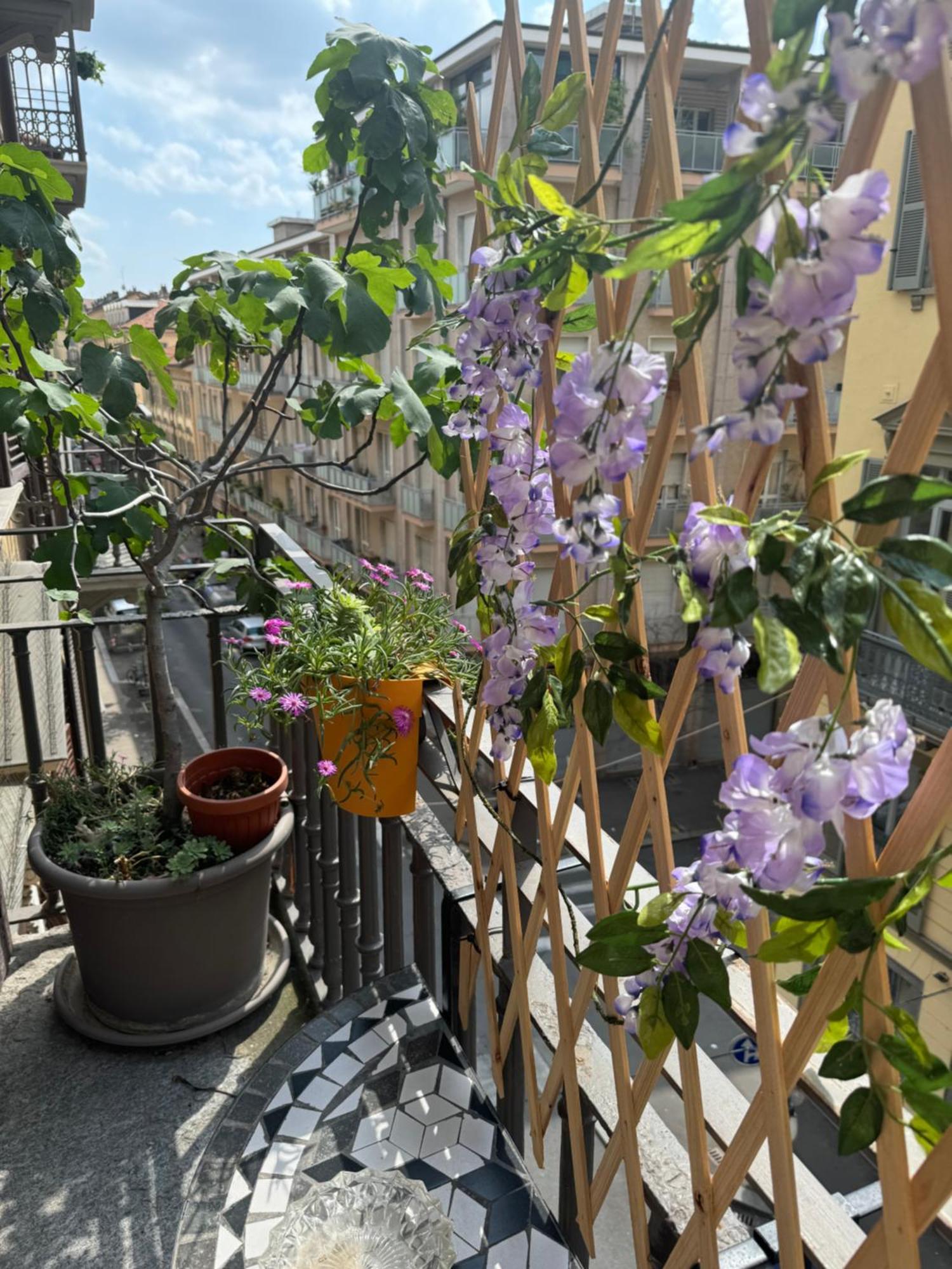 Torino Natura In Centro Zewnętrze zdjęcie