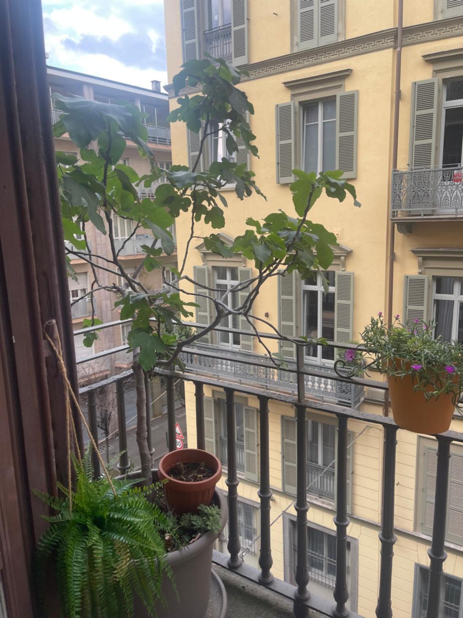 Torino Natura In Centro Zewnętrze zdjęcie